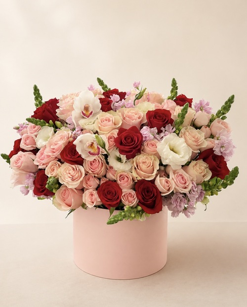 Blush Rouge